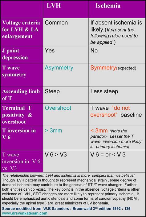 lv strain pattern|lv strain normal values.